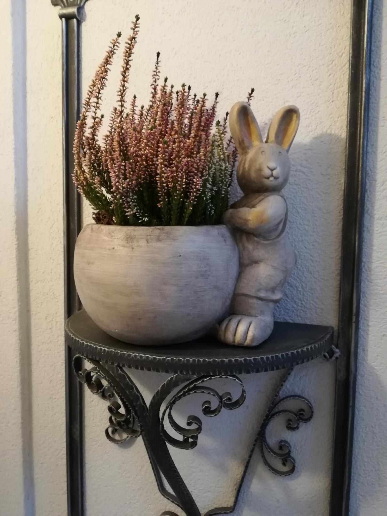 Il Nido B&B Villa d'Allegno 客房 照片